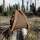 WALDKAUZ Rucksack Cervus