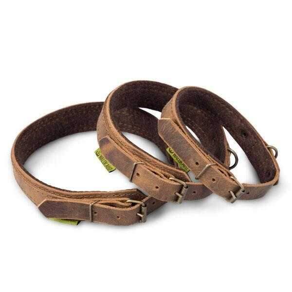 WALDKAUZ Hundehalsband "Patzel"