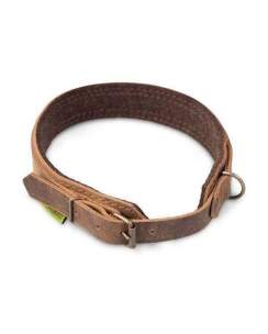 WALDKAUZ Hundehalsband &quot;Patzel&quot; M